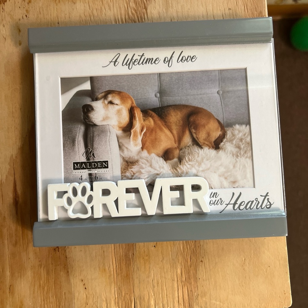 Malden Gray Pet Memorial Frame